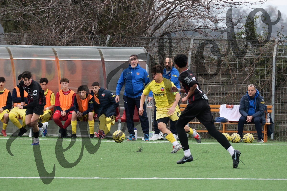 K24A0377