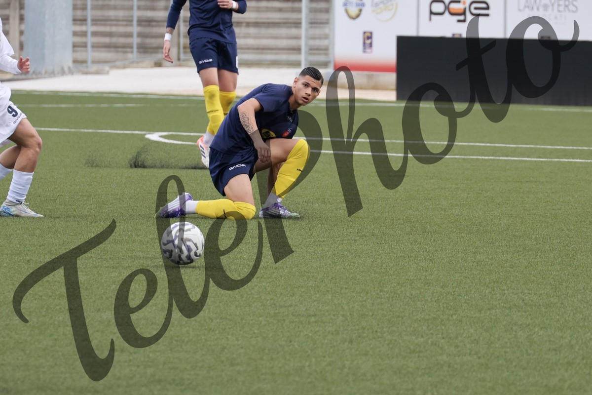 K24A6890