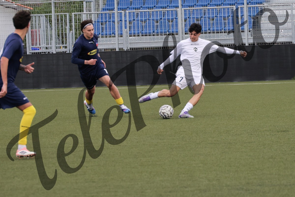 K24A6920