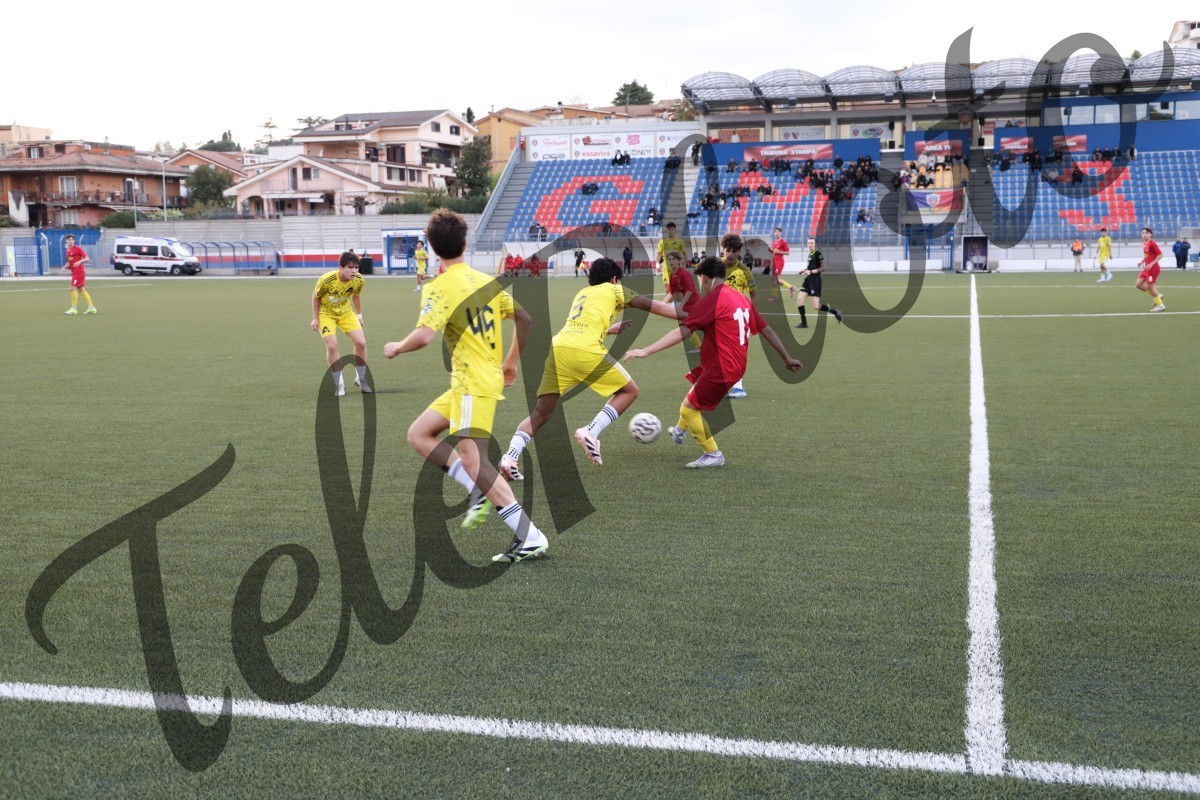 IMG_6823