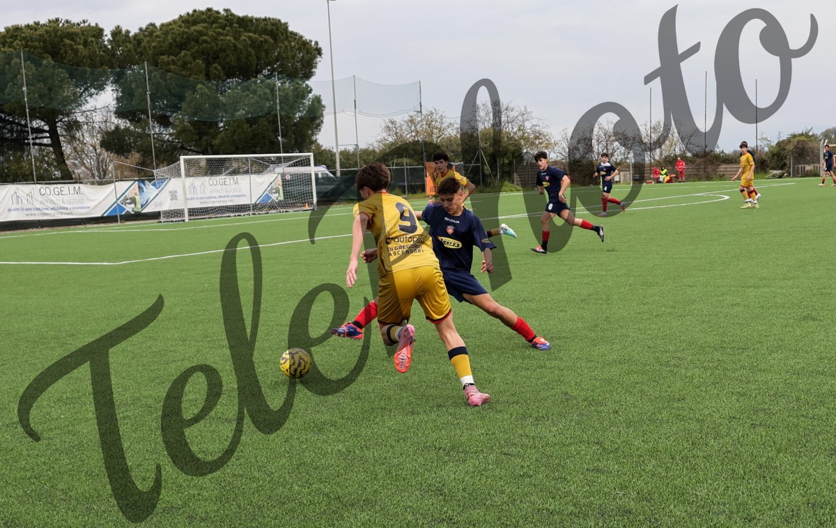 K24A2913
