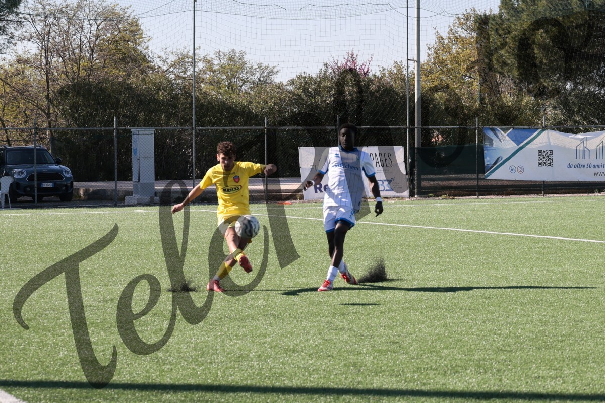 K24A7270