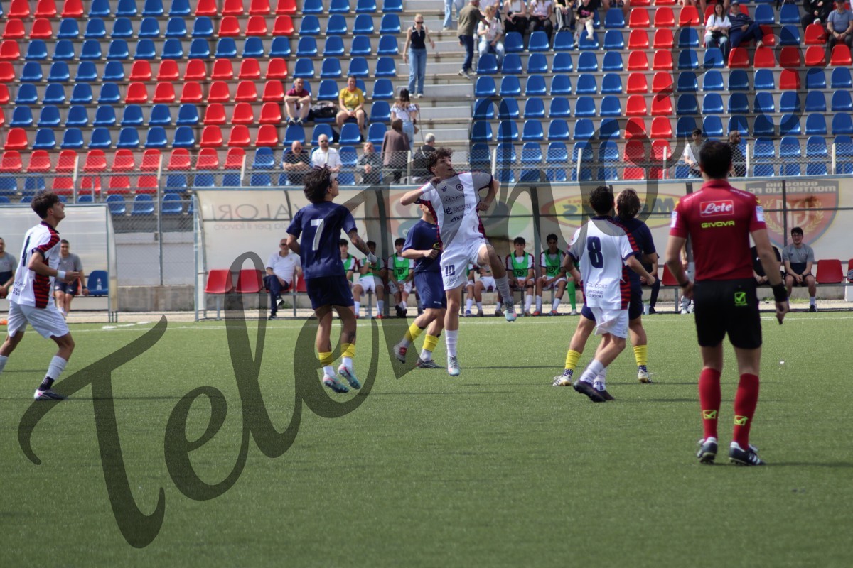 IMG_9879