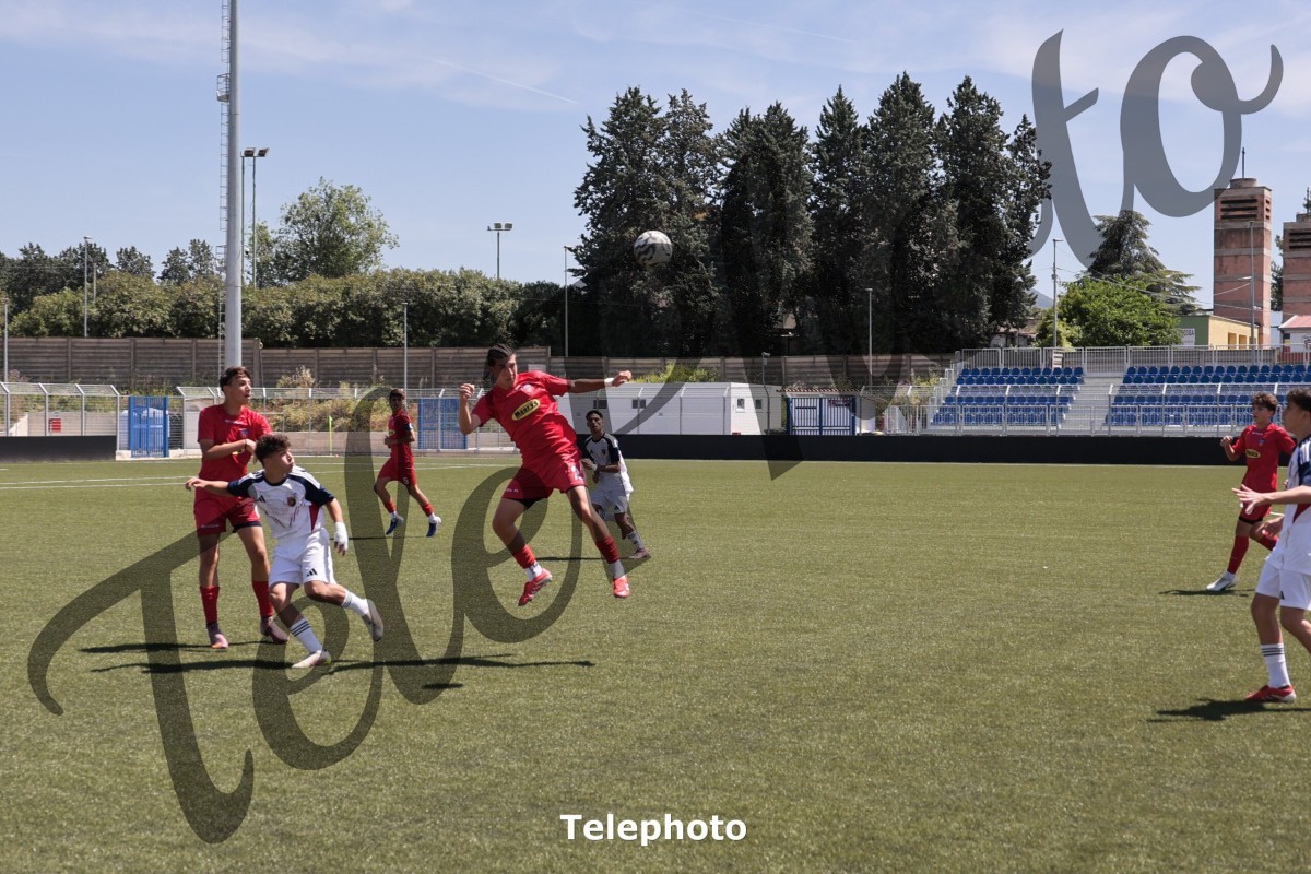 Telephoto_2