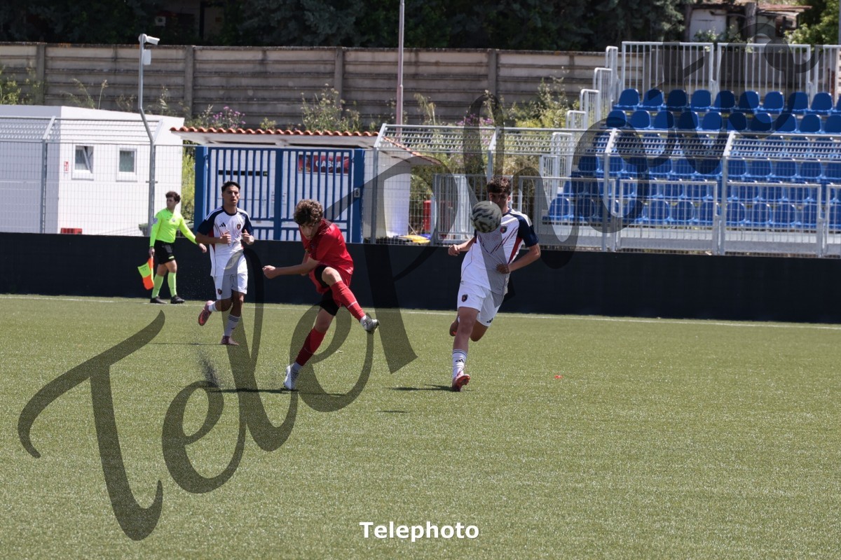 Telephoto_5