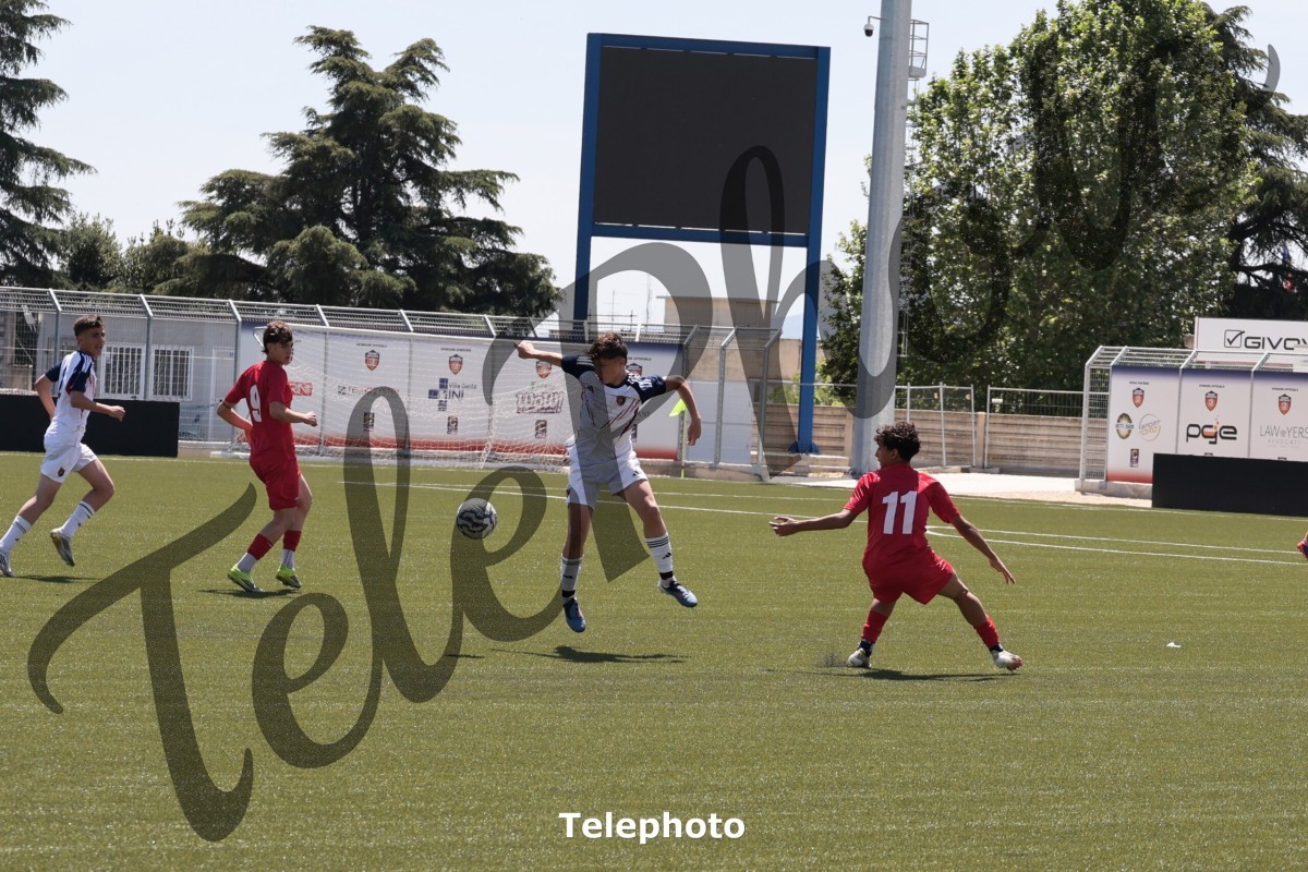 Telephoto_6