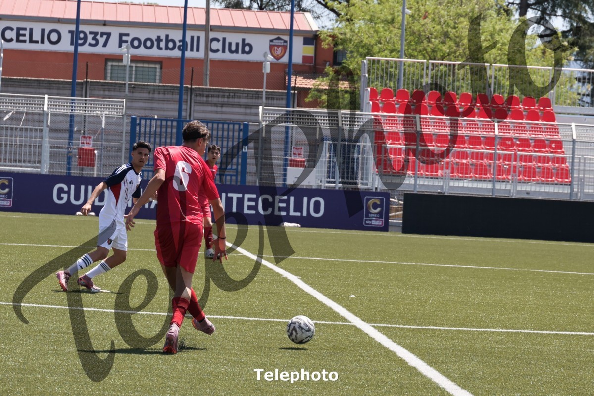 Telephoto_7