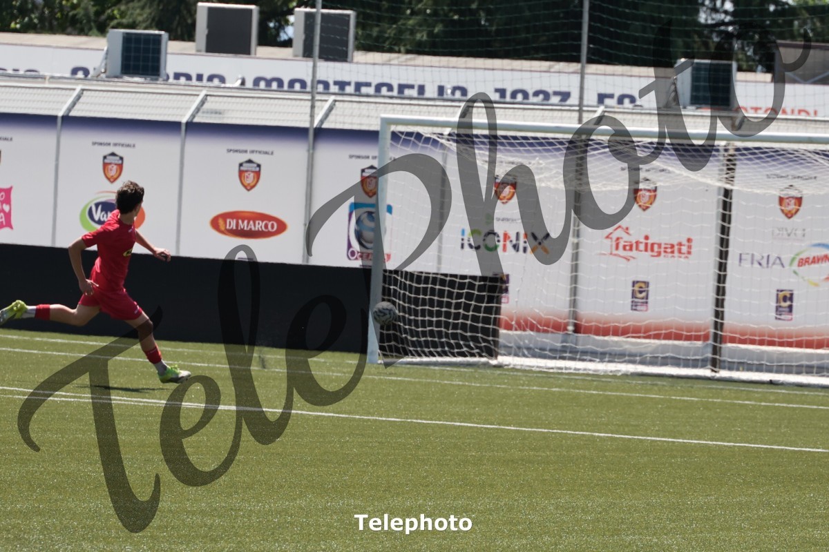 Telephoto_8