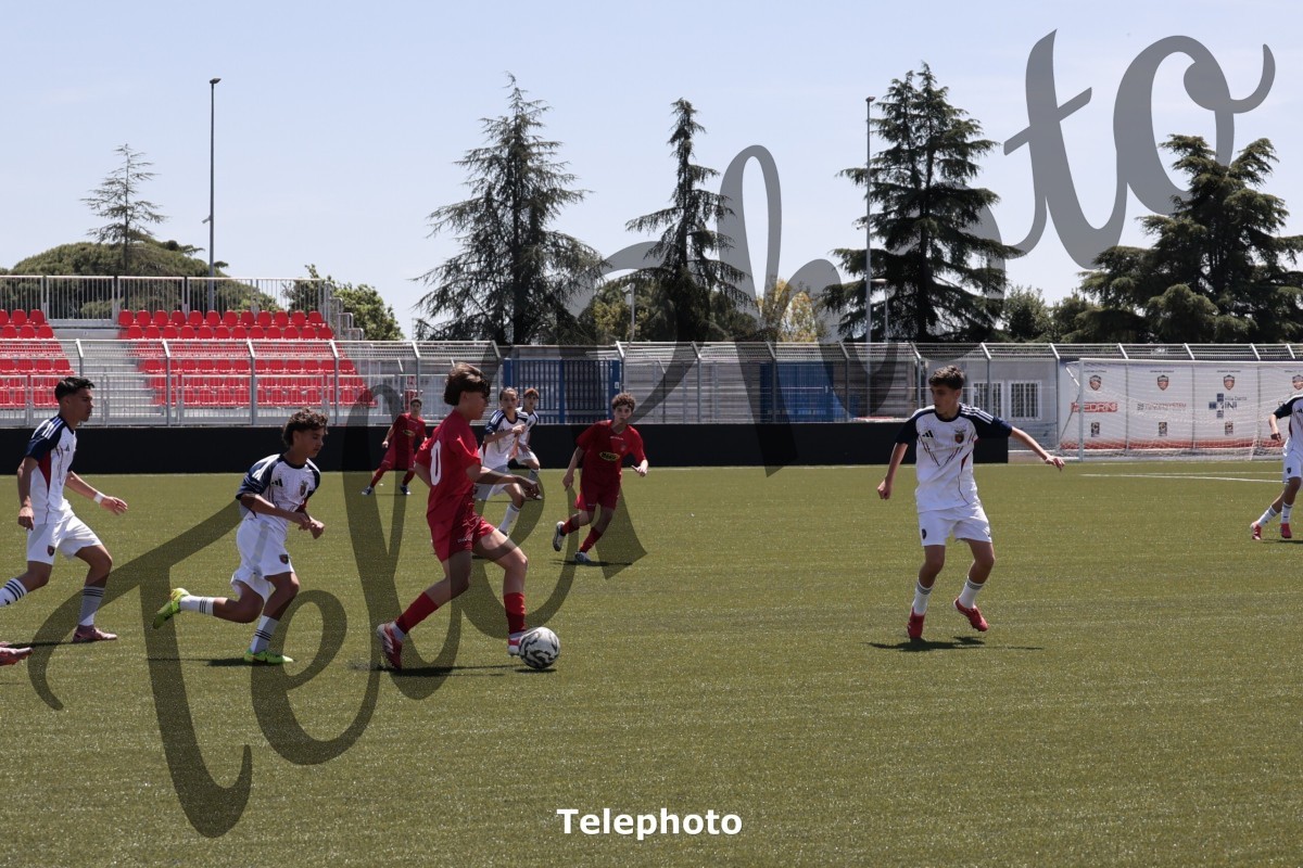 Telephoto_9