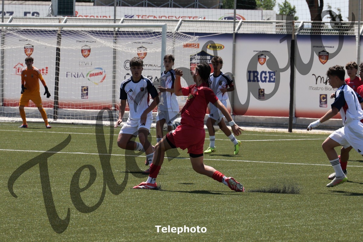 Telephoto_10