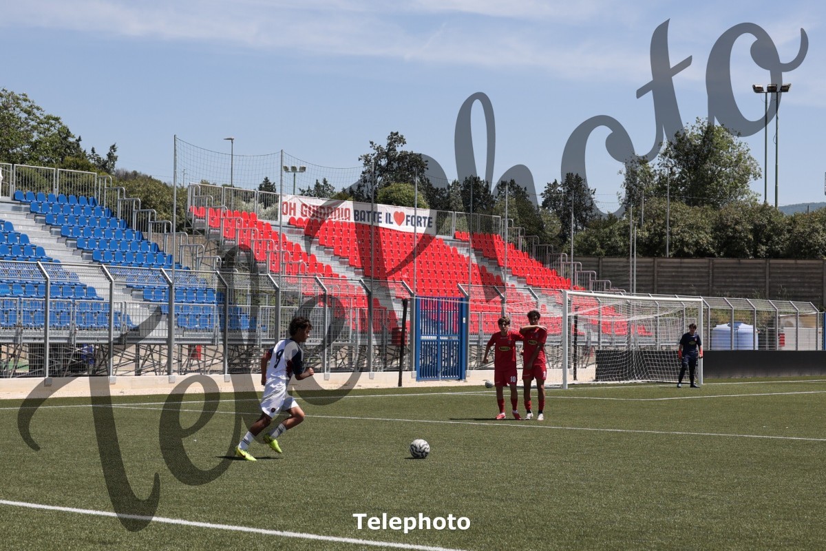 Telephoto_16