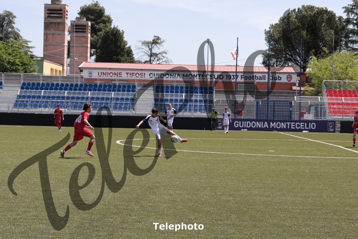 Telephoto_17