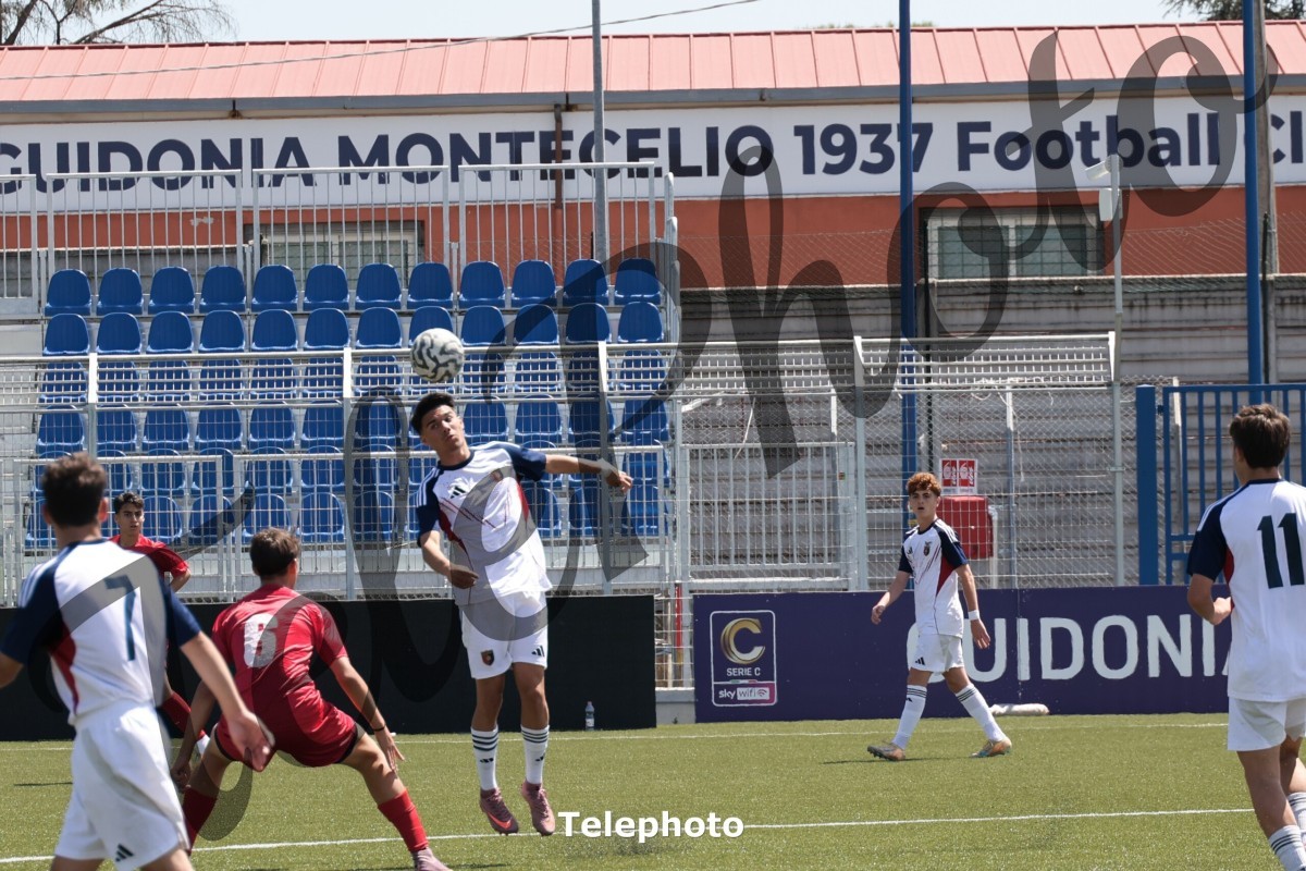 Telephoto_22