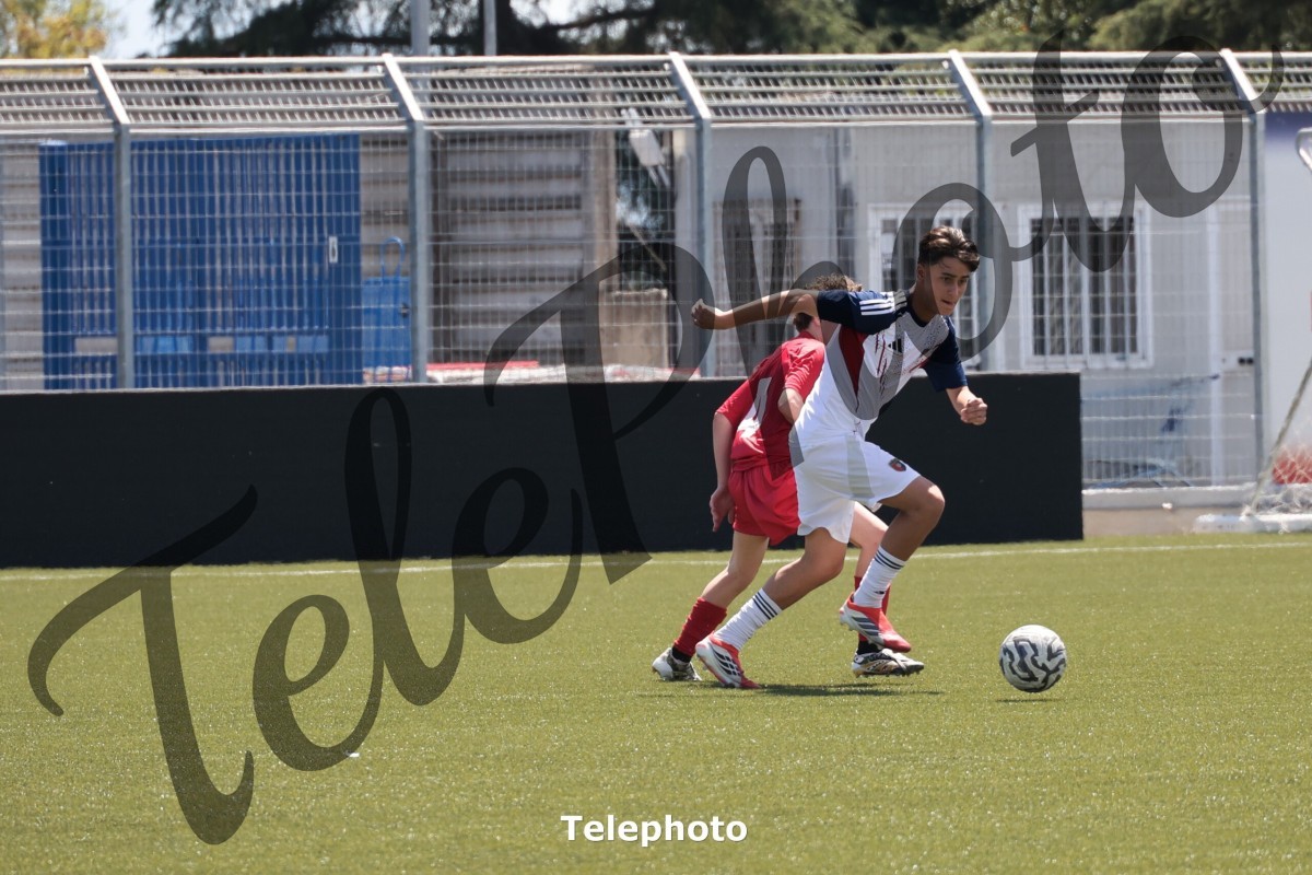 Telephoto_23