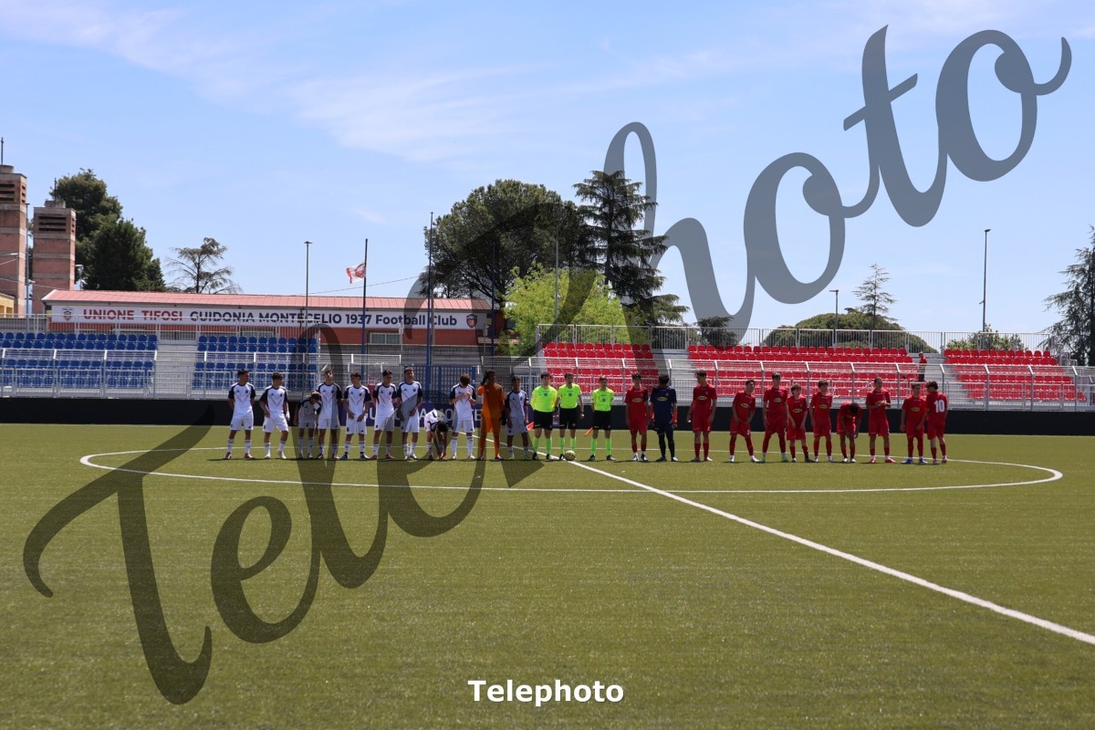 Telephoto_31