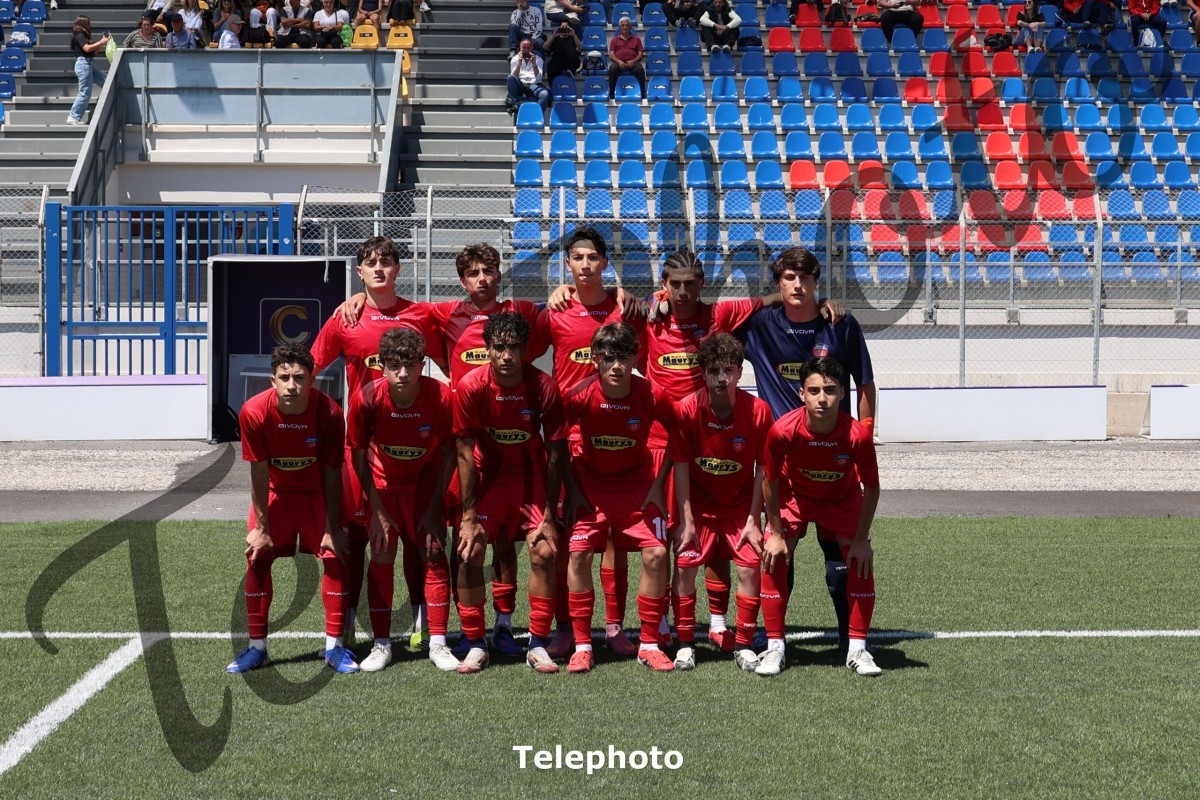 Telephoto_33
