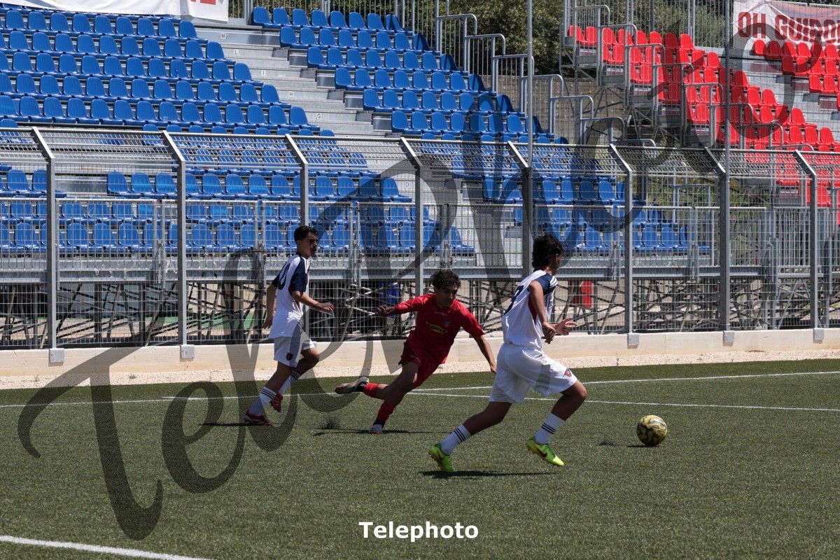 Telephoto_36