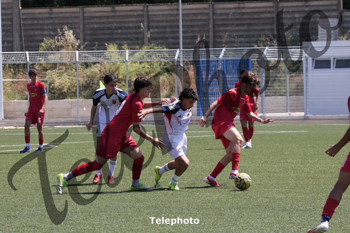 Telephoto_39
