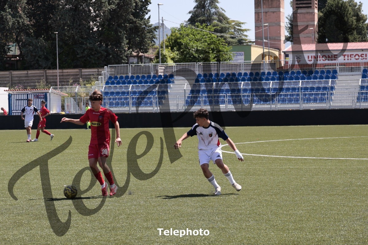 Telephoto_44