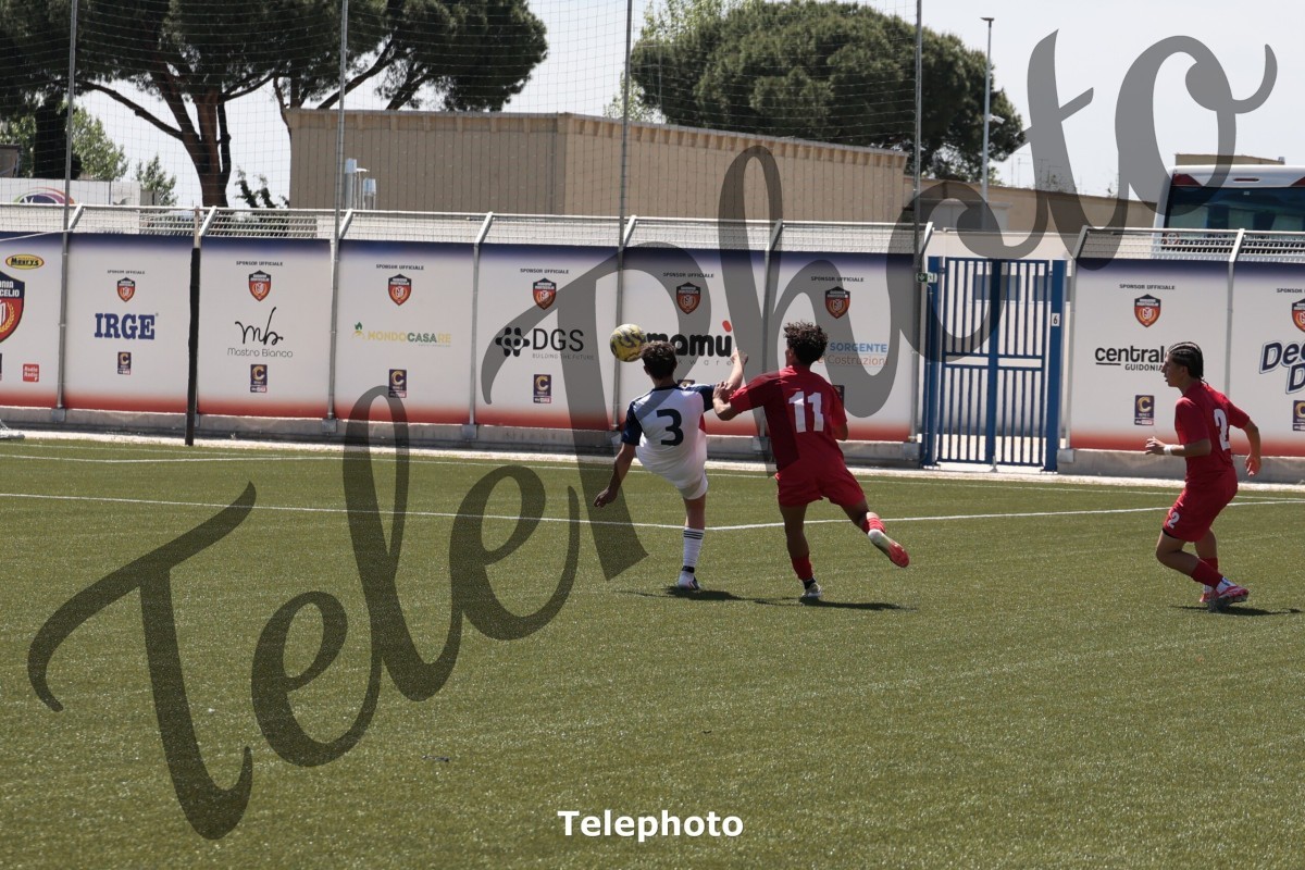 Telephoto_46