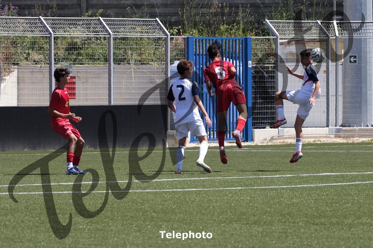Telephoto_47