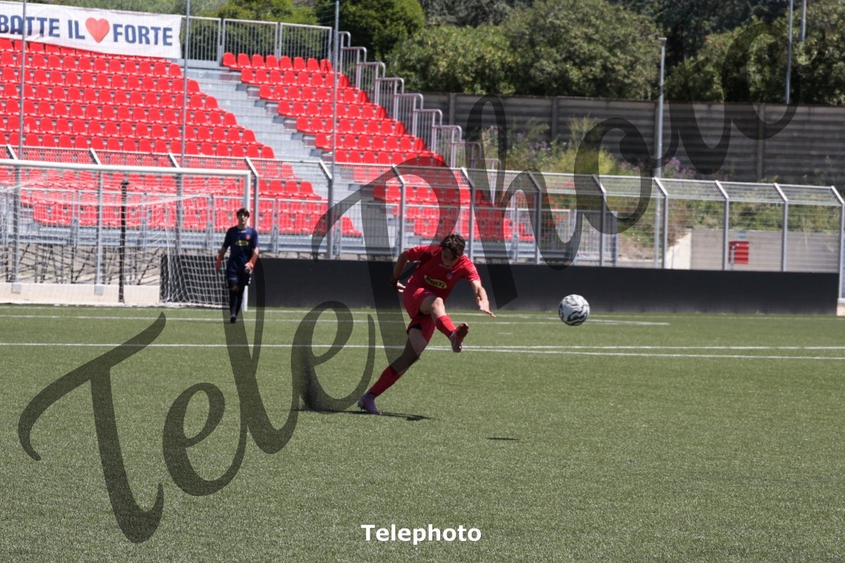 Telephoto_49