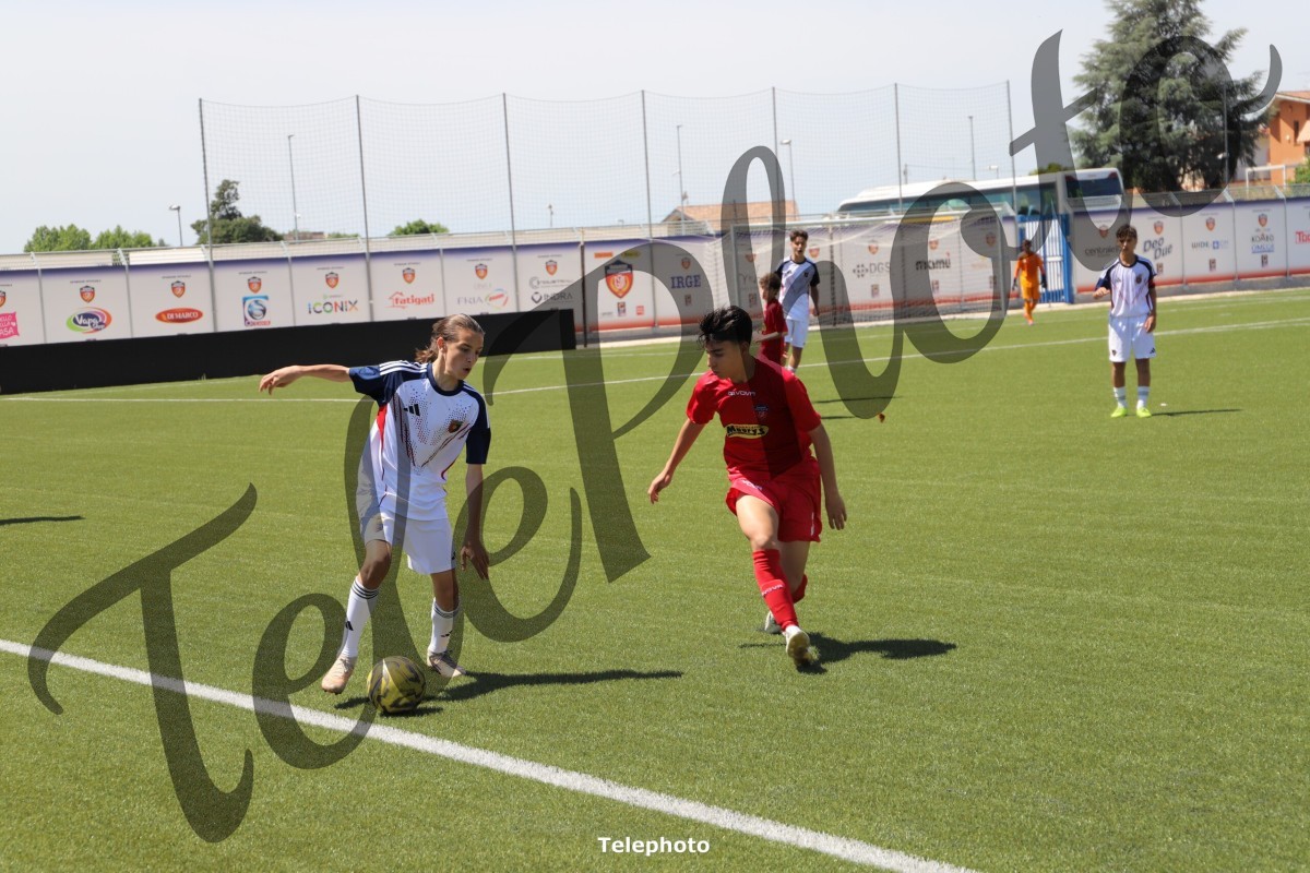 Telephoto_53