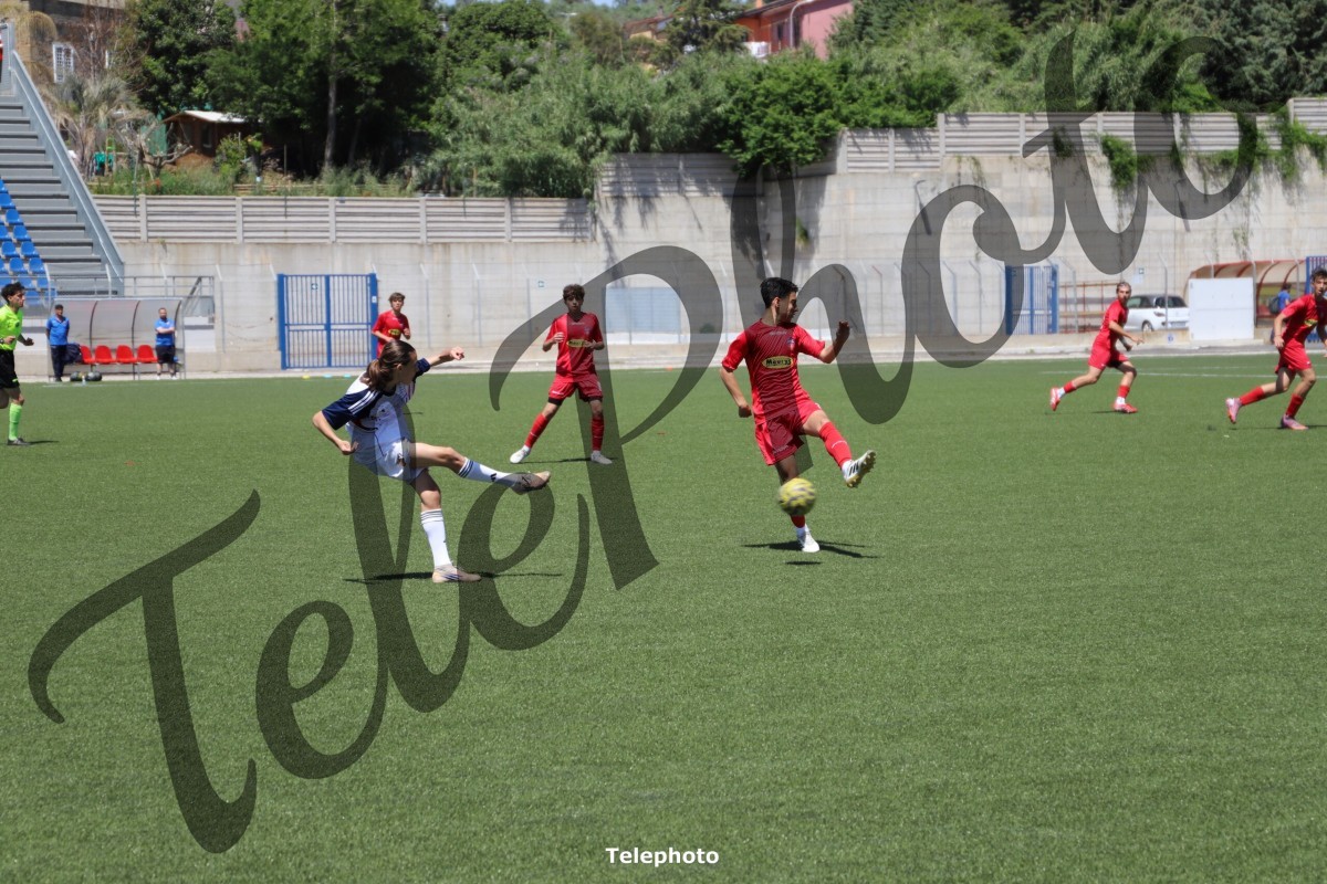 Telephoto_54