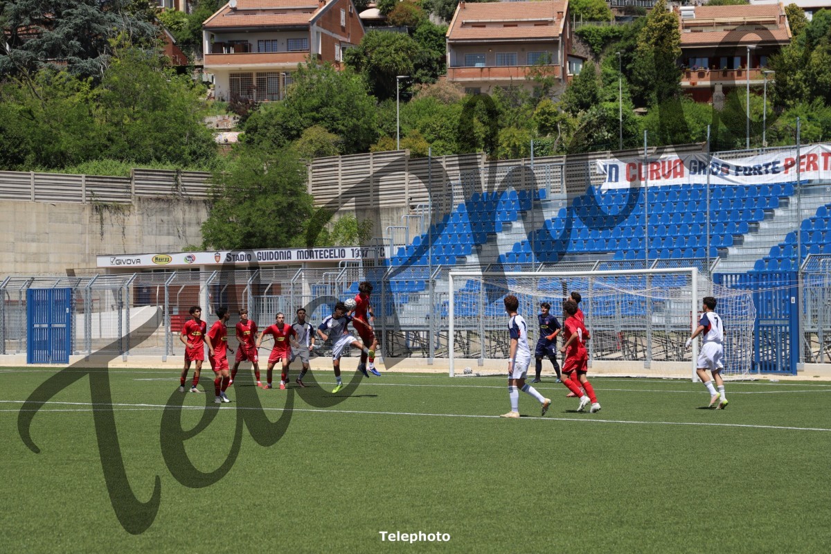 Telephoto_56