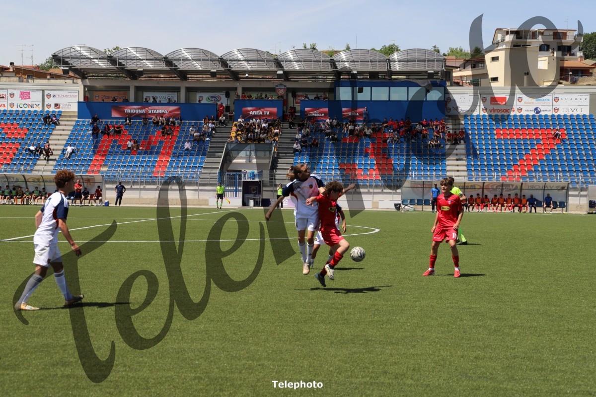 Telephoto_57