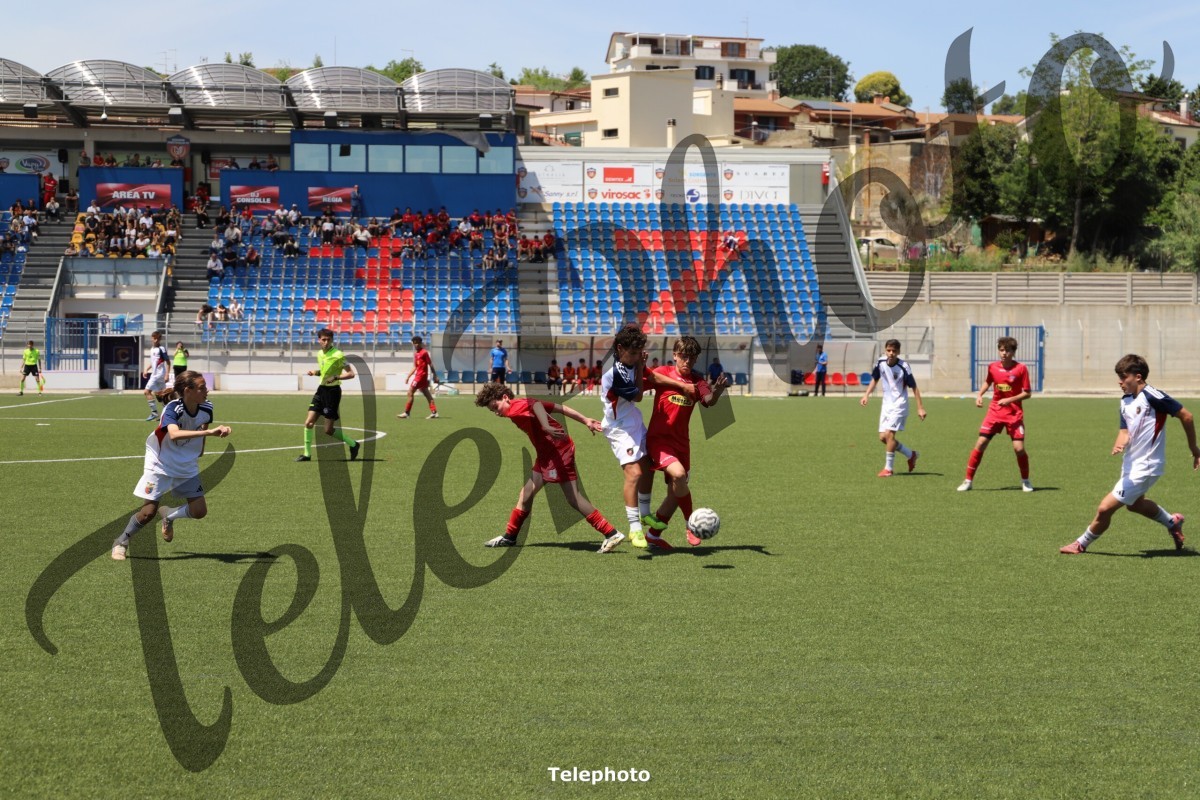 Telephoto_58