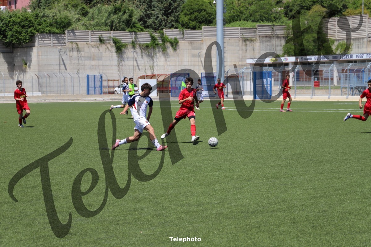 Telephoto_61