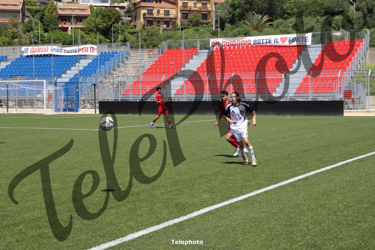 Telephoto_65