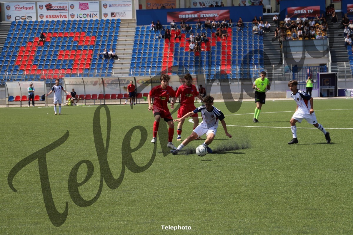 Telephoto_69