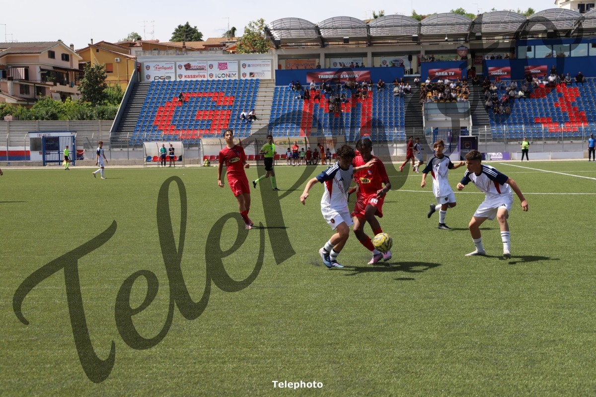 Telephoto_71