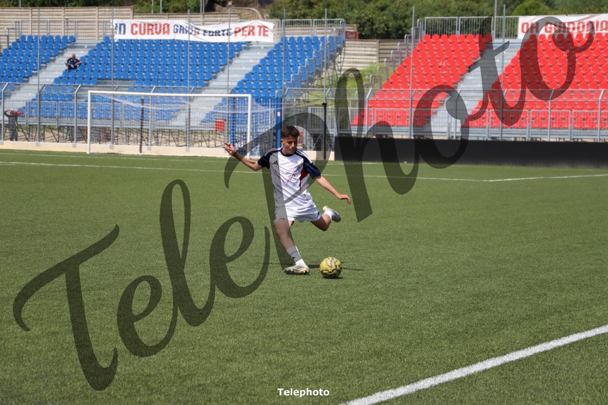 Telephoto_73
