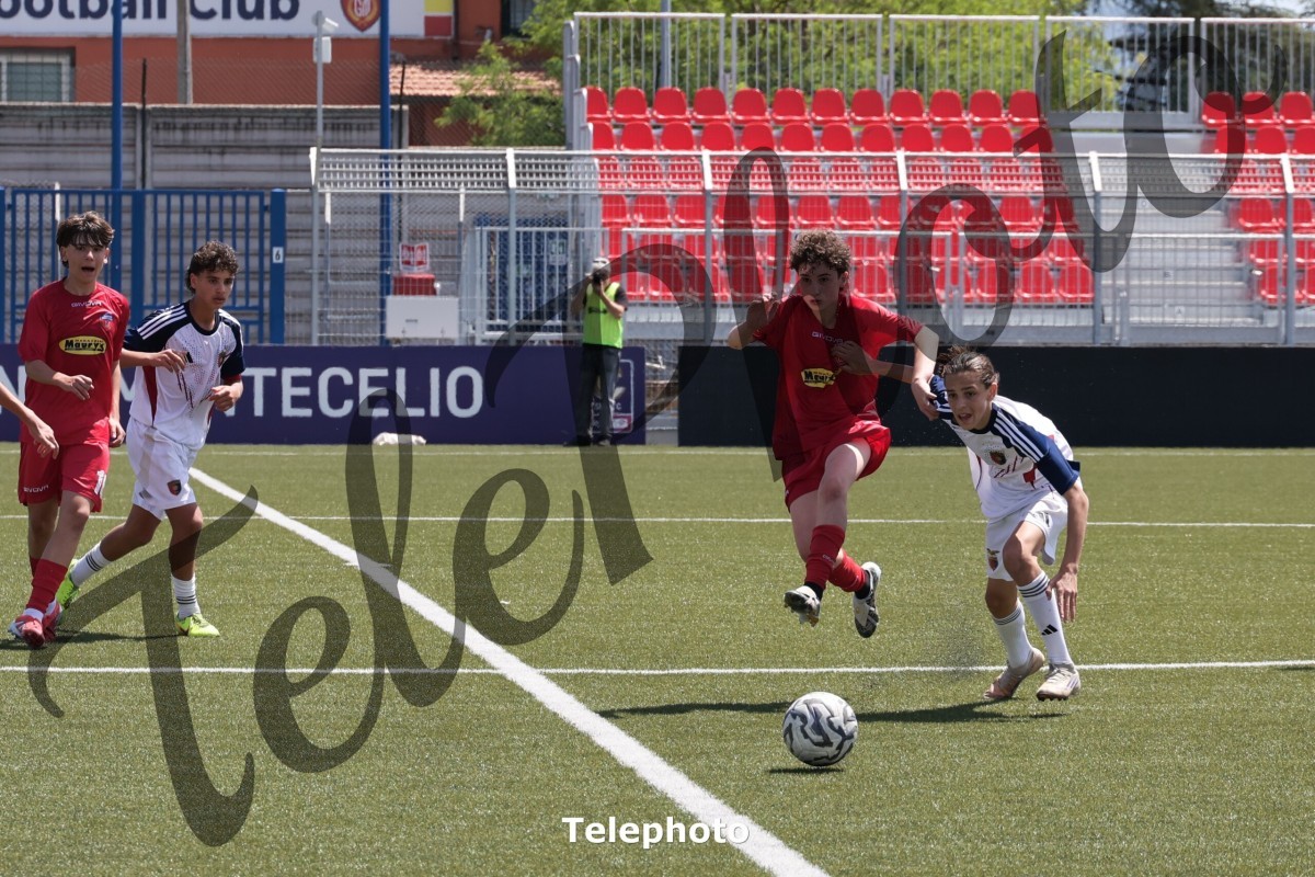 Telephoto_78