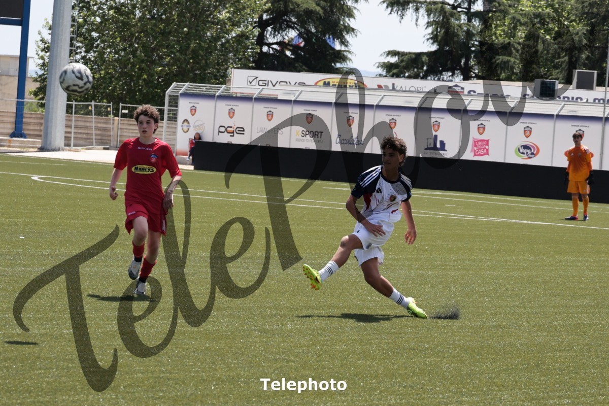 Telephoto_80