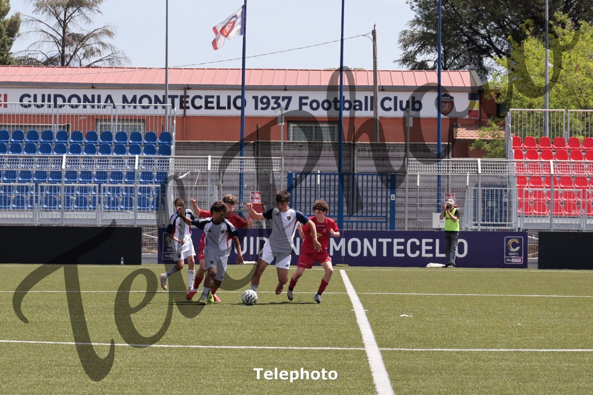Telephoto_81