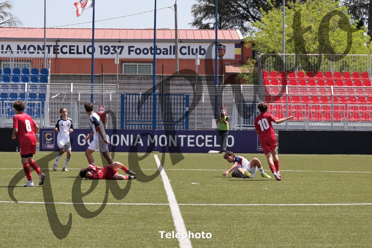 Telephoto_82
