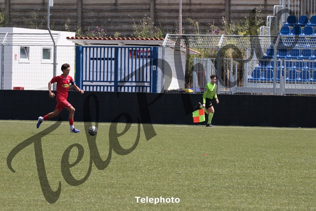Telephoto_83