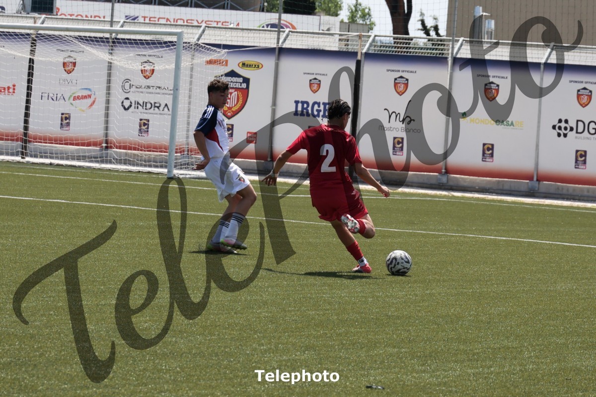 Telephoto_84