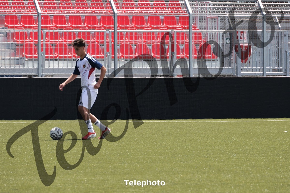 Telephoto_85