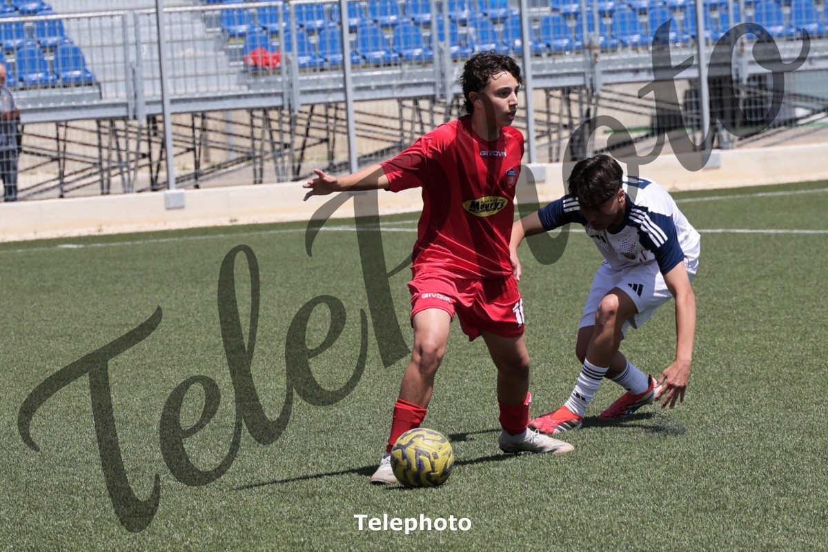 Telephoto_86