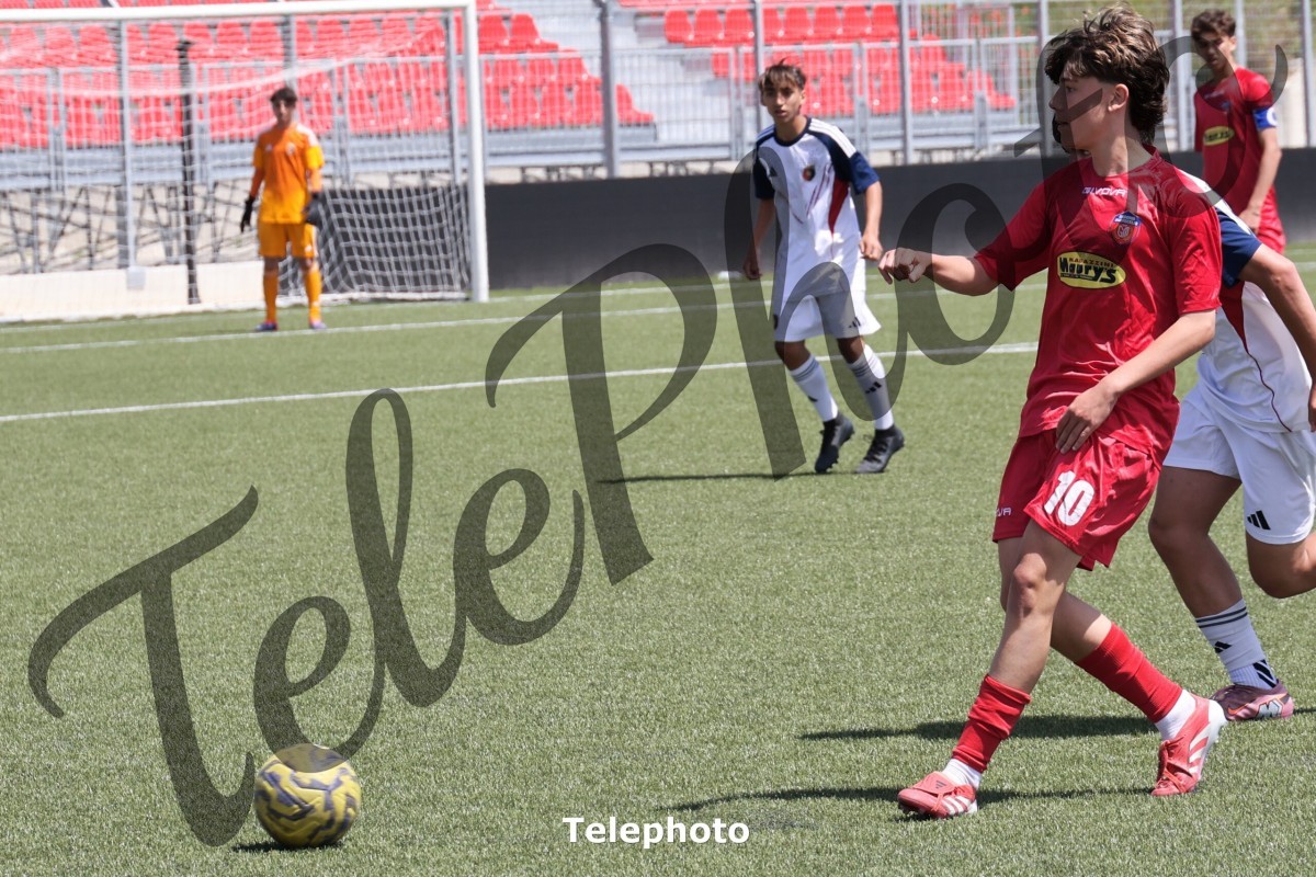 Telephoto_87