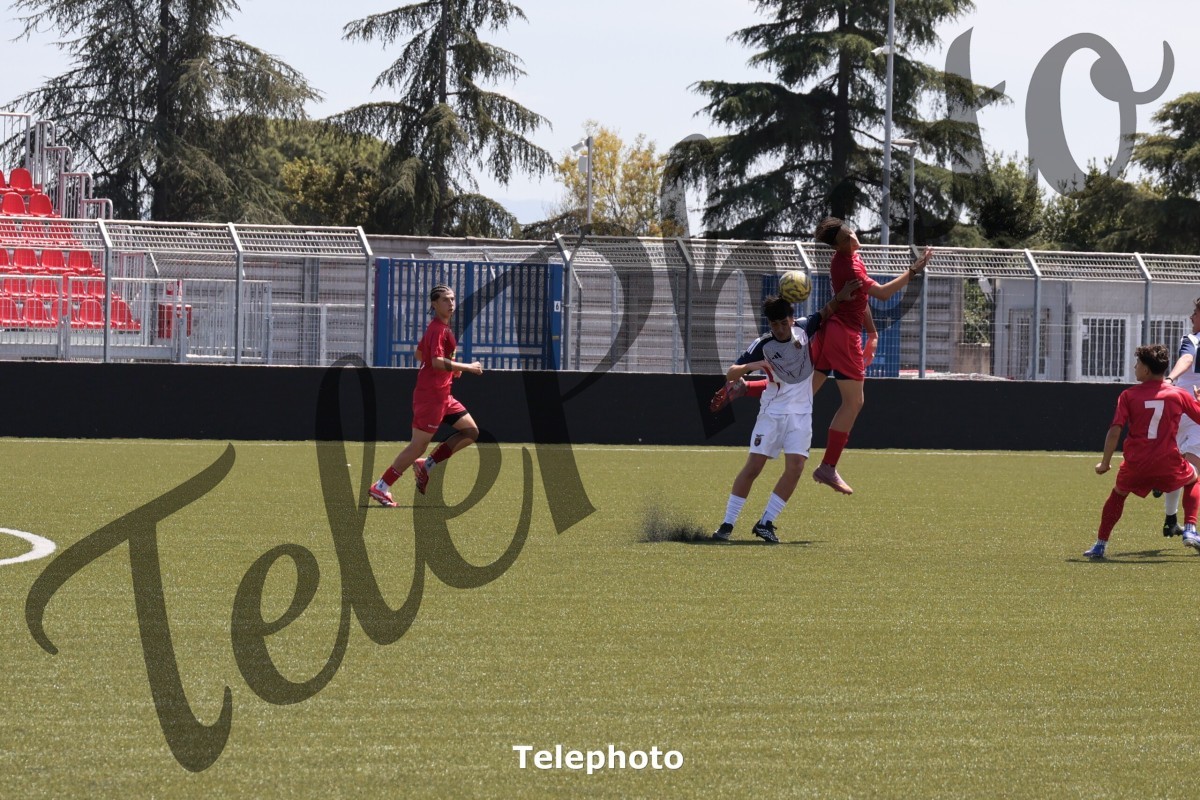 Telephoto_88