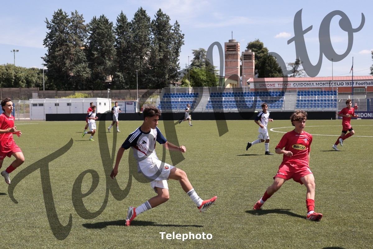 Telephoto_89