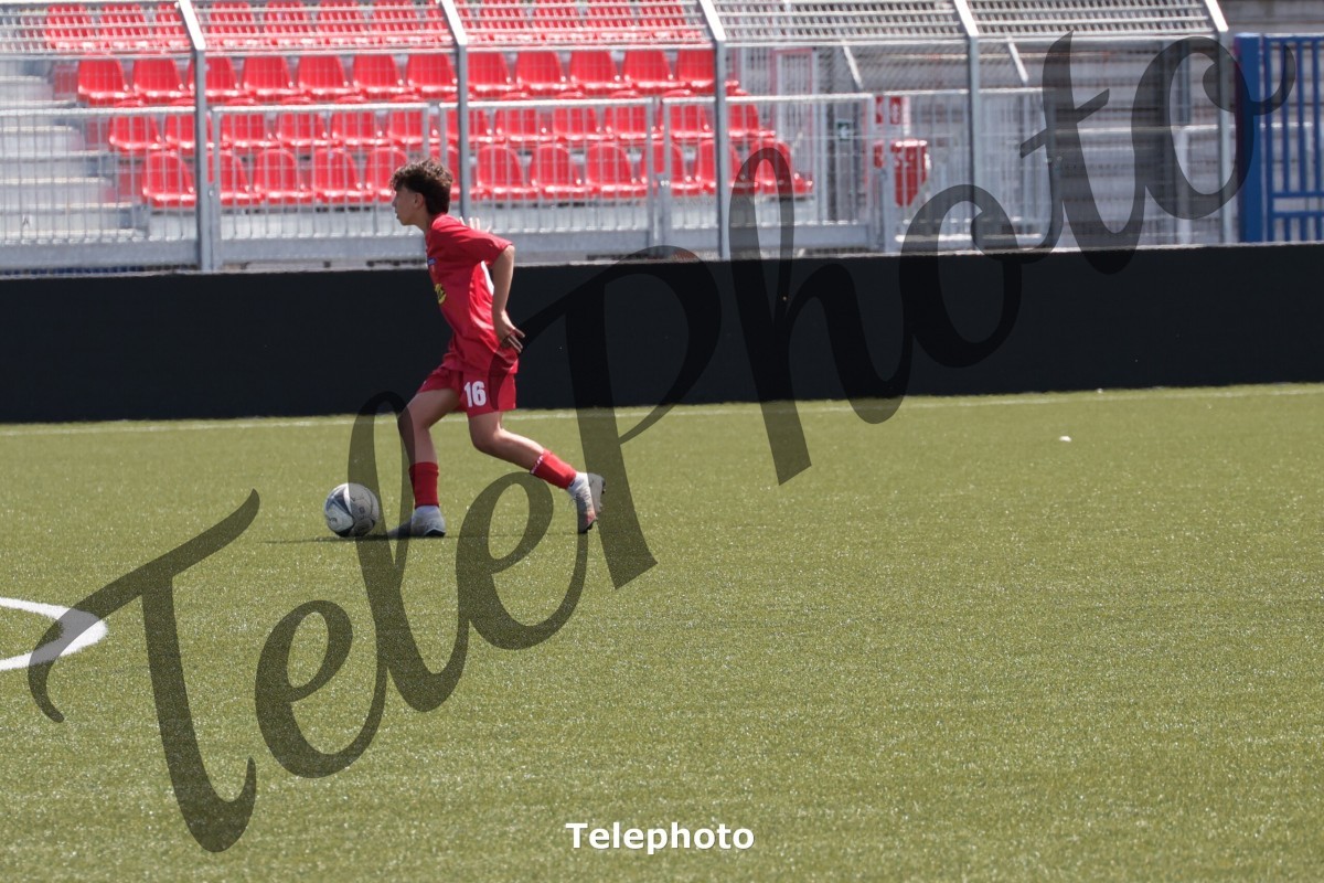 Telephoto_91