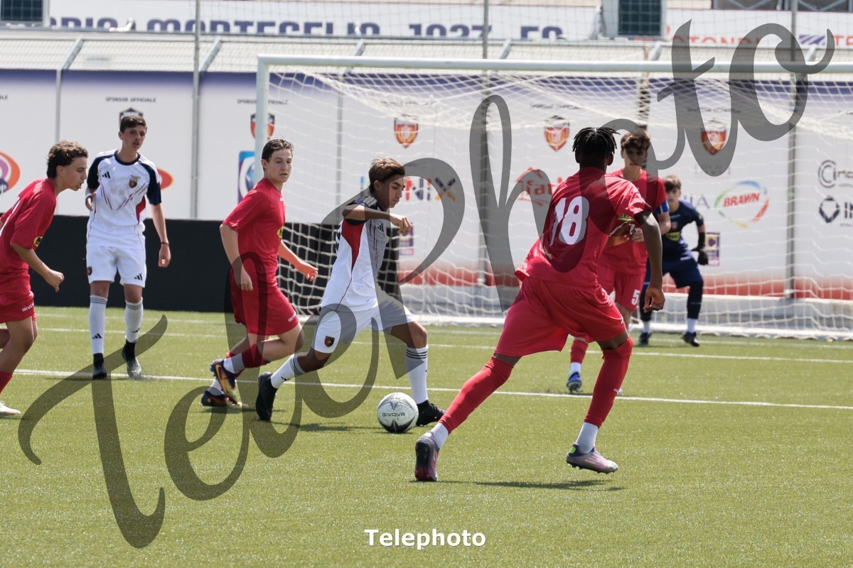 Telephoto_92