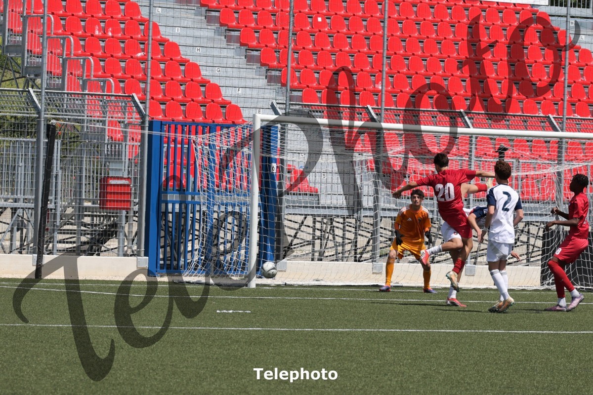 Telephoto_93